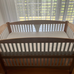 Elysian Embrace - Classic Bed Modern Crib